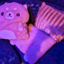 도토리 노래연습장 이미지