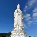 만도카서비스 | 다낭 렌트카 16인승 가격 부모님 여행 편했던 디고투어