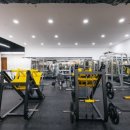 아인스 휘트니스 이미지