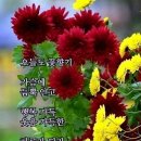 “나만의 인생길 만들기” 이미지