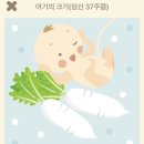 안녕도자기