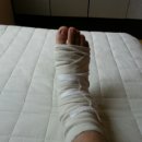 호원농장 이미지