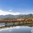 한반도섬 이미지