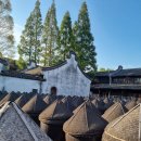 마을통 | 상해 우전 수향마을 통안객잔 패밀리룸 조식 석식 후기