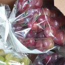 박종관농장 이미지