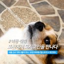 서울 근교 나들이 추천 : 포천 가볼만한곳 마이애니멀스토리 in 평강랜드