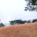 헌인릉 티스토리