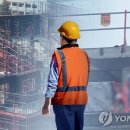 113 이미지