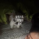 차엔(주) | 팔 지방 흡입 1개월 차! 주마다 후기