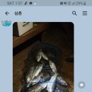 저도 유료낚시터 이미지