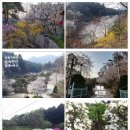 5월펜션 이미지