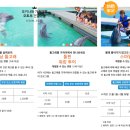 건강마을 네이버블로그