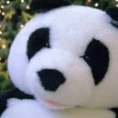 온더써클 네이버블로그