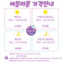 버블리 풀