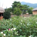 휠링민박 이미지