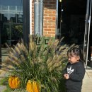 반디농장 | 인천 반디세상 아이랑 숲 모래 놀이터 체험 후기