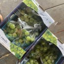 서준농장 이미지