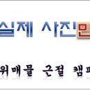해츠빌 이미지