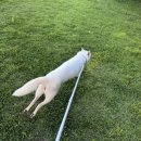 (주)코리아세븐 압구정스퀘어점 | [일상] 광화문 미진, 메밀 소바 맛집, 운동복 추천 (나이키 스포츠 브라), 무화과 샌드위치, 2025...