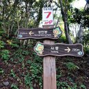 울릉마리나관광호텔 이미지