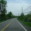 자연사슴농장 이미지