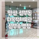 선부다목적체육관 | 안산 선부동 수영장 선부 다목적체육관 선부수영장 자유수영 이용후기