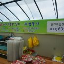 옹골농장 이미지