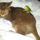 홍주유통 이미지