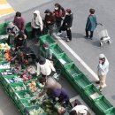 유성농협하나로마트장대점