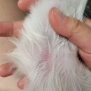 행복반점 이미지