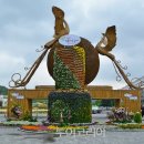 대숲향기 이미지