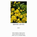 달맞이 Daum카페