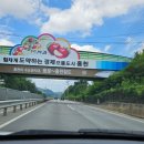 일신민박 이미지