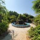 애견샵 어린왕자 이미지