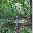 새솔학교 이미지