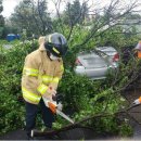 서호동-45 이미지