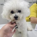 도고면 도고면로 이미지