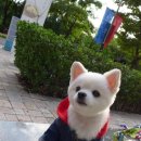 미미하우스 이미지