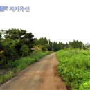 남원읍-61 Daum카페