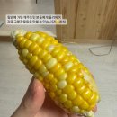 힐스템 찜질테라피 이미지