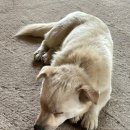 춘천 계곡민박 이미지