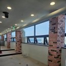 도기도기 이미지