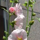 성주관광주유소 이미지