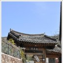 장전미술관 이미지