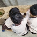 자연사랑어린이집 놀이터 이미지