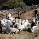 채운목장 이미지