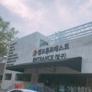 캠프통포레스트 이미지