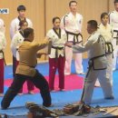 하나태권도 이미지