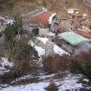 한국불교태고종관음사 이미지