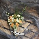 디스베리데이 이미지